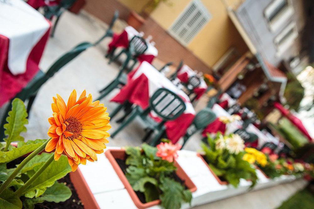 Eden Aparthotel Mozzagrogna